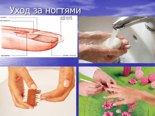 Презентация Уход за кожей Гигиена одежды и обуви