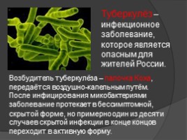 Туберкулёз в России, слайд 2