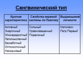 Темперамент в профессиональном становлении личности, слайд 8