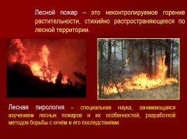 Лесные и торфяные пожары, слайд 13