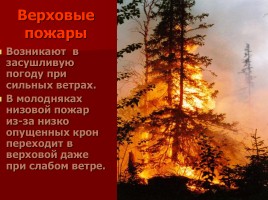 Лесные и торфяные пожары, слайд 17