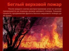Лесные и торфяные пожары, слайд 19