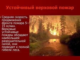 Лесные и торфяные пожары, слайд 21