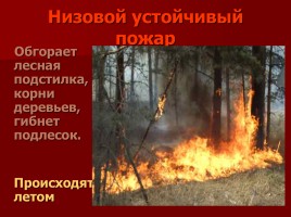 Лесные и торфяные пожары, слайд 25