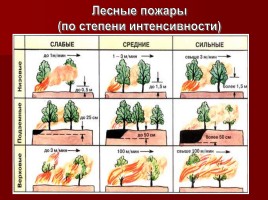 Лесные и торфяные пожары, слайд 28