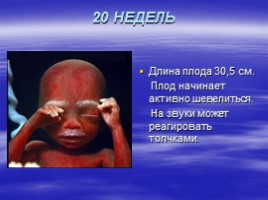 Рождение человека, слайд 32