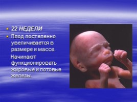 Рождение человека, слайд 33
