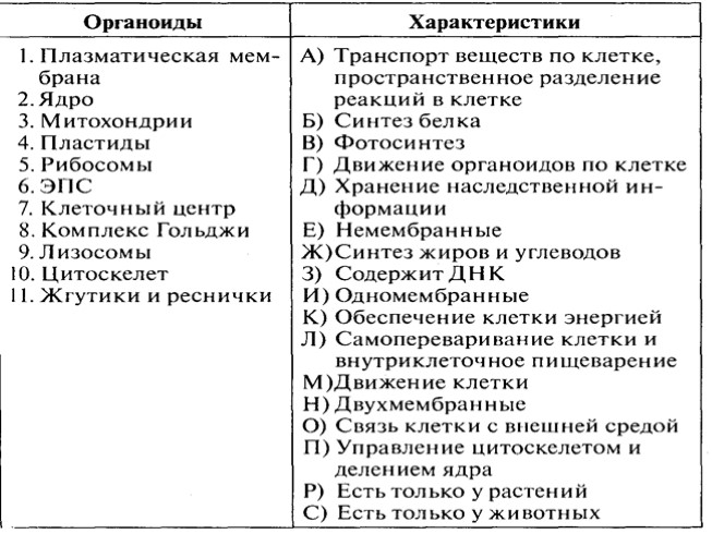 Контрольная работа по теме строение клетки 10 класс