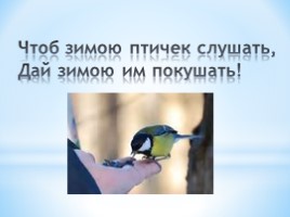 Проект «Зимующие птицы», слайд 26