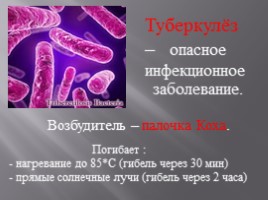Профилактика туберкулёза, слайд 2