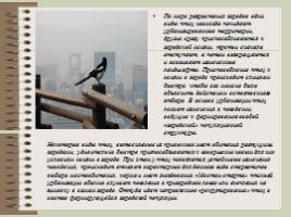 Птицы городских ландшафтов, слайд 5