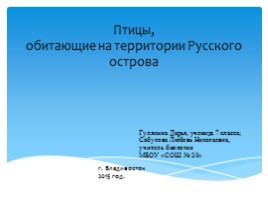 Птицы Русского острова, слайд 1