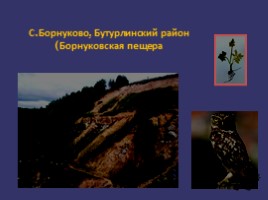 Научная работа «Особо охраняемые природные территории Нижегородской области», слайд 11