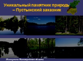 Научная работа «Особо охраняемые природные территории Нижегородской области», слайд 14