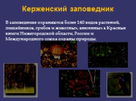 Научная работа «Особо охраняемые природные территории Нижегородской области», слайд 9