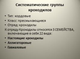 Отряд Крокодилы, слайд 2