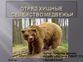 Отряд Хищные - Семейство медвежьи, слайд 1