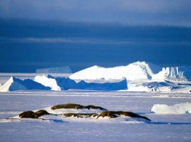 Антарктида - самый загадочный материк Земли, слайд 15