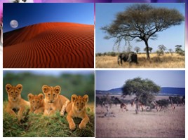 Африка: ФГП и характер поверхности материка, слайд 2