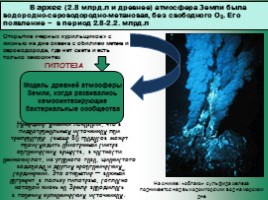 Бактериальная палеонтология, слайд 6