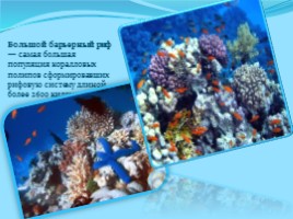 Большой Барьерный риф, слайд 2
