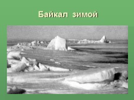 Виртуальная экскурсия по Байкалу, слайд 10