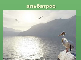 Виртуальная экскурсия по Байкалу, слайд 24