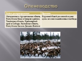 Животноводство России, слайд 10
