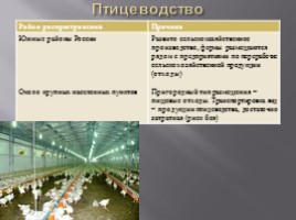 Животноводство России, слайд 7