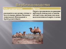 Животноводство России, слайд 9