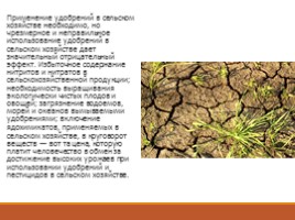 Химия и сельское хозяйство, слайд 6