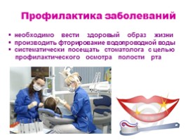 Строение и функции зубов, слайд 21