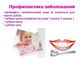 Строение и функции зубов, слайд 22