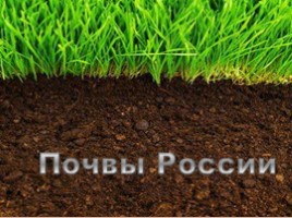 Почвы России, слайд 1