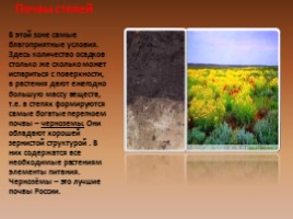 Почвы России, слайд 11