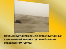 Пустыни и полупустыни, слайд 8