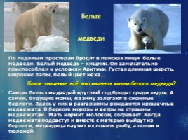 Растительный и животный мир Арктики, слайд 16