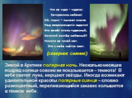 Растительный и животный мир Арктики, слайд 6