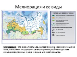 Почвы России, слайд 14