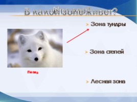Игра «Животные разных природных зон», слайд 10
