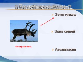 Игра «Животные разных природных зон», слайд 2