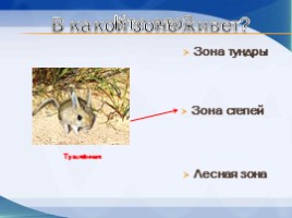 Игра «Животные разных природных зон», слайд 4
