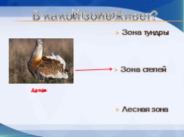 Игра «Животные разных природных зон», слайд 7