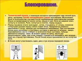 Методическая разработка для уроков физической культуры по теме «Волейбол», слайд 14