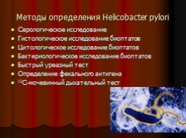 Заболевания верхних отделов желудочно-кишечного тракта, язва, слайд 37