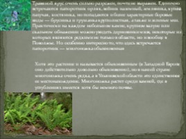 Семь чудес Ульяновской области, слайд 8