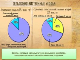 География 9 класс «Агропромышленный комплекс России», слайд 18