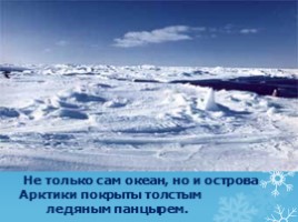 Арктика - фасад России, слайд 4