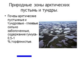Природные ресурсы Арктики, слайд 9