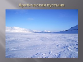 География 8 класс «Безлесные природные зоны Арктики и Субарктики», слайд 3